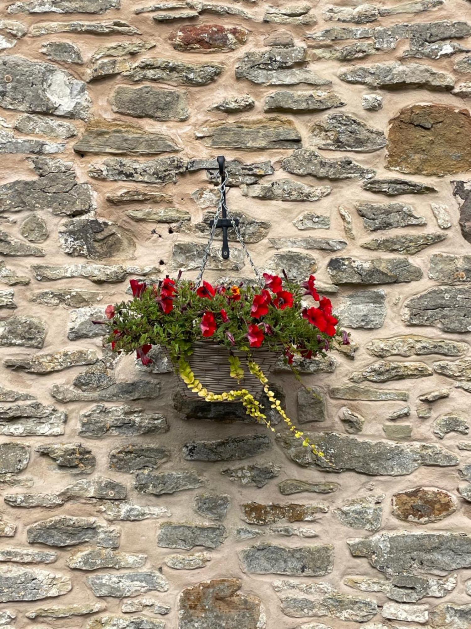 Ross-on-Wye Acorn Cottage מראה חיצוני תמונה