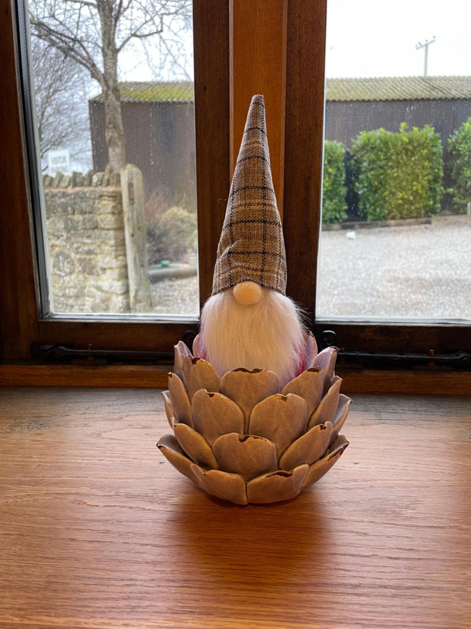 Ross-on-Wye Acorn Cottage מראה חיצוני תמונה